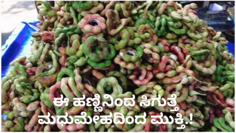 Health : ನಿಮ್ಮ ಮನೆ ಅಕ್ಕಪಕ್ಕದಲ್ಲಿ ಸಿಗುವ ಈ ಹಣ್ಣಿನಿಂದ ಸಿಗುತ್ತೆ ಮಧುಮೇಹದಿಂದ ಮುಕ್ತಿ.!
