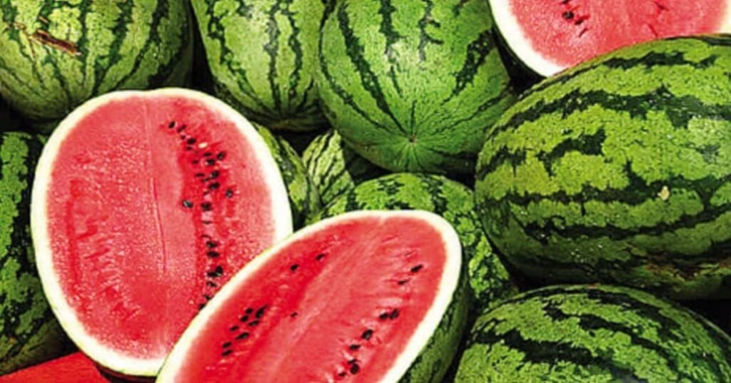 Watermelon 1