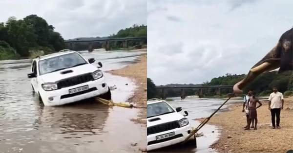Fortuner