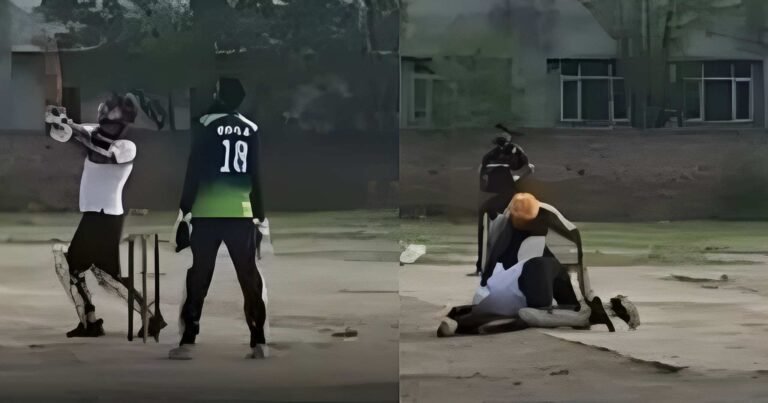 Cricket