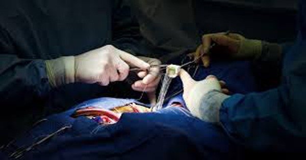 Heart Doctor