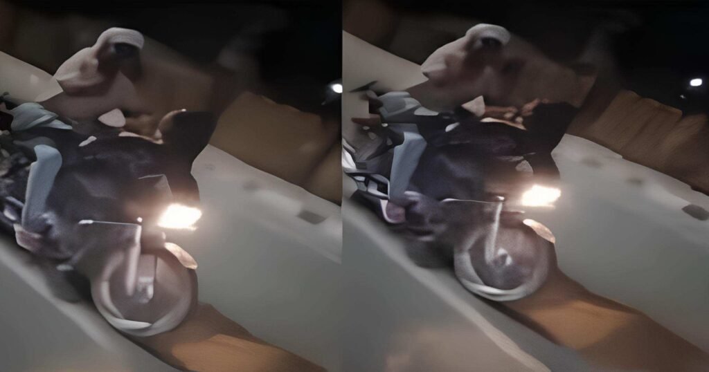 Romance on bike