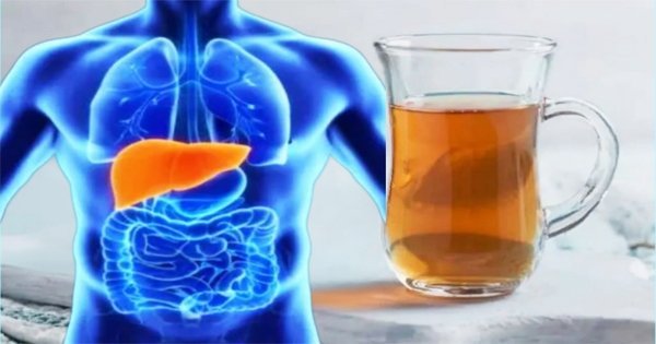 Liver