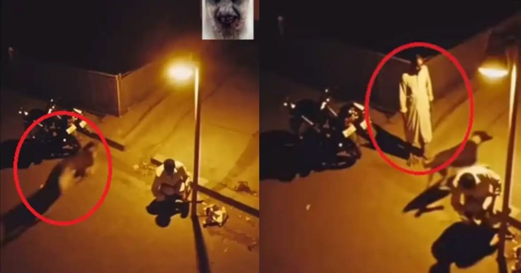 midnight-dog-turns-into-man Dog