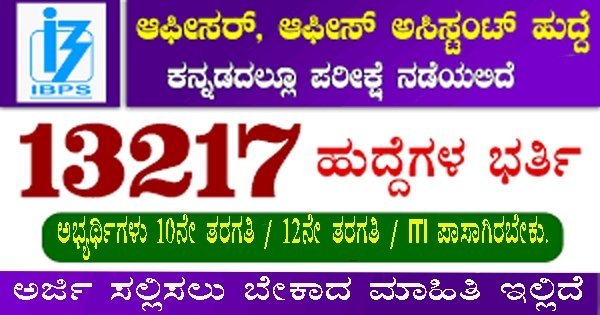 13217 vacancies apply online