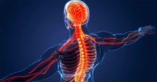 Nerve-Weakness