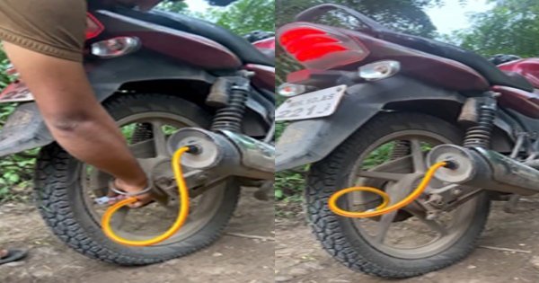 Bike Tyre