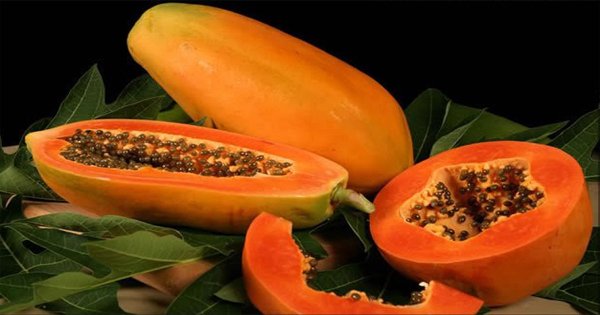 Papaya
