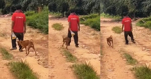 drunk-man-gives-liquor-to-dog Dog