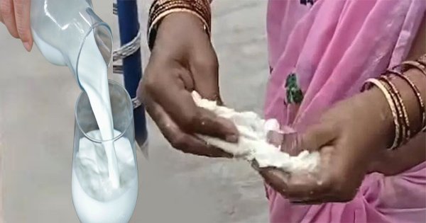 Milk : ಕುದಿಸಿದಾಗ ರಬ್ಬರ್‌ನಂತಾದ ಹಾಲು ; ಎಫ್‌ಡಿಎ ತನಿಖೆ ಆರಂಭ.!