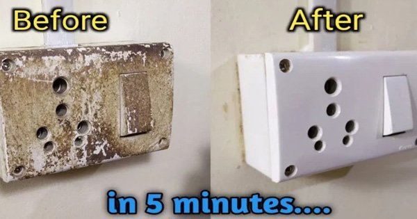 Switch Board