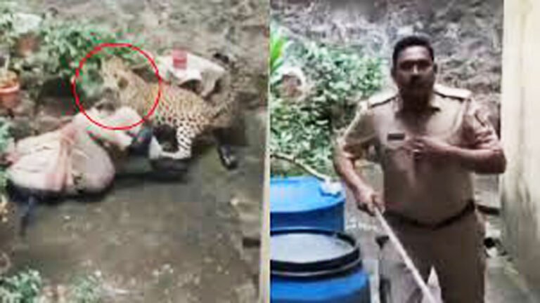 police-officer-escapes-leopard-attack