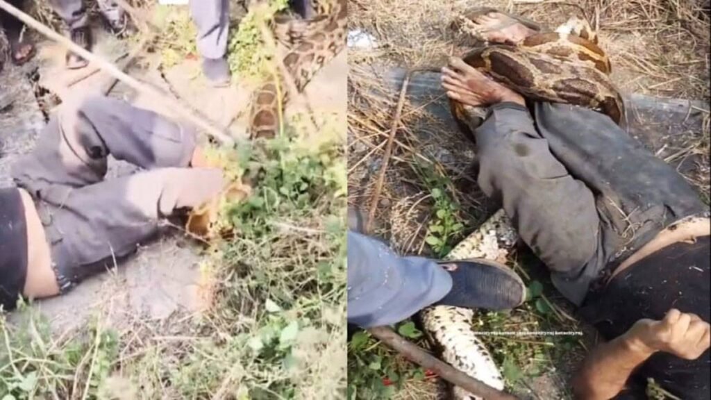 python : attack-on-worker-video-goes-viral