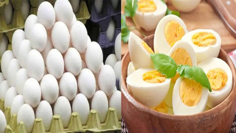 ಮೊಟ್ಟೆಗಳಲ್ಲಿ ಕ್ಯಾನ್ಸರ್ ಕಾರಕ ಅಂಶ ಅನುಮಾನ