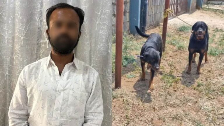 rottweiler : attack-woman-dog-death-owner-arrested