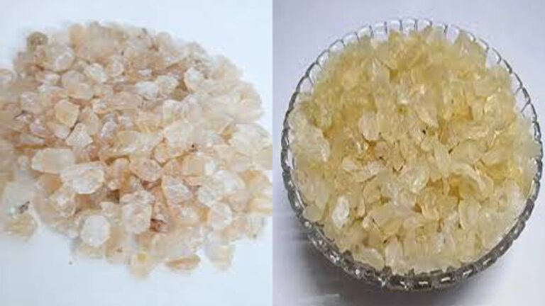 ರಕ್ತದಲ್ಲಿಯ ಸಕ್ಕರೆ ತಗ್ಗಿಸಲು ಬಾದಾಮ್ ಗೊಂಡ್ ; ತಜ್ಞರ ಮಹತ್ವದ ಮಾಹಿತಿ ಇಲ್ಲಿದೆ.