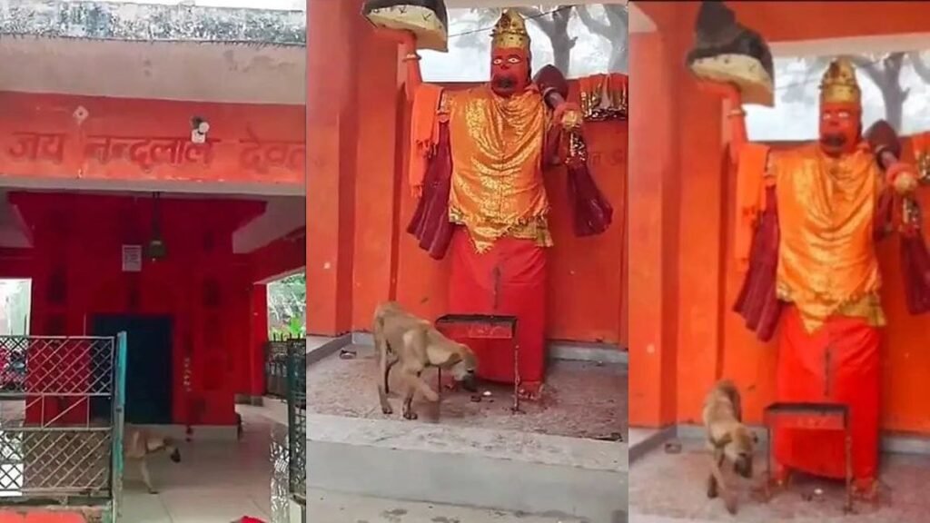 ಹನುಮಾನ್ ದೇವಾಲಯದಲ್ಲಿ 48 ಗಂಟೆ ಪ್ರದಕ್ಷಿಣೆ ಹಾಕಿದ ನಾಯಿ.