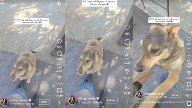 “5 ವರ್ಷಗಳ ನಂತರ ಮಾಲಿಕನನ್ನು ಕಂಡ ನಾಯಿ” ಮಾಡಿದ್ದೇನು ಗೊತ್ತಾ? ವಿಡಿಯೋ ನೋಡಿ.