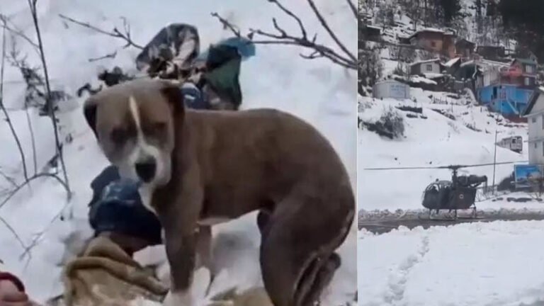 ನಿಷ್ಠೆಗೆ ಸಾಕ್ಷಿ: 4 ದಿನ ಮಾಲೀಕನ ಶವ ಕಾವಲು ಕಾಯ್ದ ನಾಯಿ; ವಿಡಿಯೋ ವೈರಲ್‌.