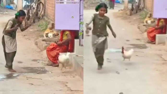 ಡ್ಯಾನ್ಸ್ ಮಾಡಿದ ಪುಟ್ಟ ಹುಡುಗಿ: ಬೆನ್ನಟ್ಟಿದ ಹುಂಜ