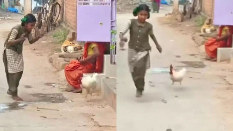 ಡ್ಯಾನ್ಸ್ ಮಾಡಿದ ಪುಟ್ಟ ಹುಡುಗಿ: ಬೆನ್ನಟ್ಟಿದ ಹುಂಜ