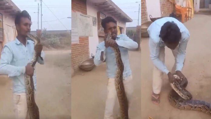 ಹಾವಿಗೆ ಕಿಸ್ ಮಾಡಲು ಹೋದ ಯುವಕ