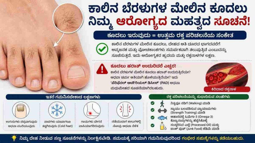 ನಿಮ್ಮ ಕಾಲಿನ ಬೆರಳುಗಳ ಮೇಲೆ ಕೂದಲು ಇವೆಯೇ?