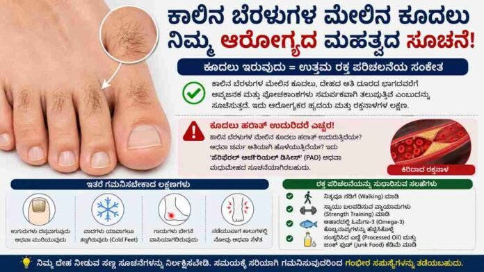 ನಿಮ್ಮ ಕಾಲಿನ ಬೆರಳುಗಳ ಮೇಲೆ ಕೂದಲು ಇವೆಯೇ?
