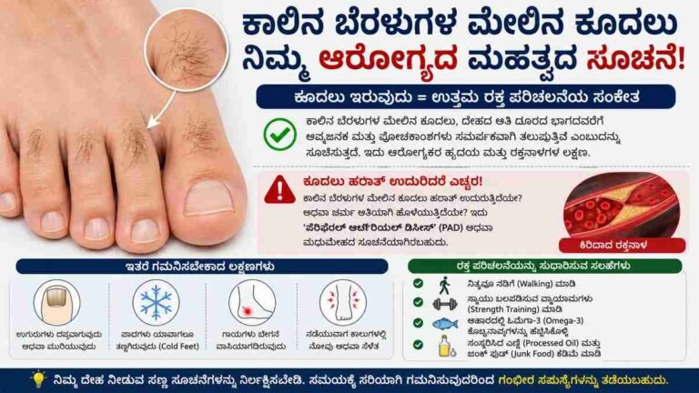 ನಿಮ್ಮ ಕಾಲಿನ ಬೆರಳುಗಳ ಮೇಲೆ ಕೂದಲು ಇವೆಯೇ? ಈ ಲಕ್ಷಣಗಳನ್ನು ನಿರ್ಲಕ್ಷಿಸಬೇಡಿ!