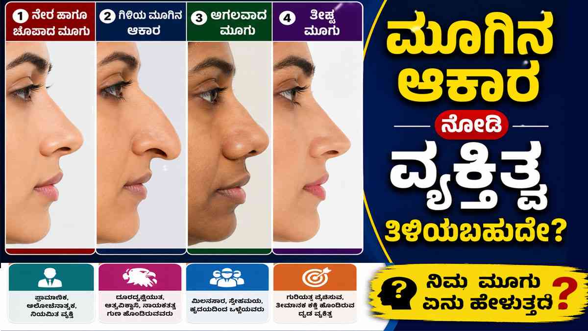 ಮೂಗಿನ ಆಕಾರ ನೋಡಿ ನಿಮ್ಮ ವ್ಯಕ್ತಿತ್ವ ಮತ್ತು ಸ್ವಭಾವ ತಿಳಿಯಬಹುದೇ?