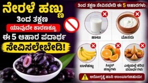 ನೇರಳೆ ಹಣ್ಣು ತಿಂದ ತಕ್ಷಣ ಯಾವುದೇ ಕಾರಣಕ್ಕೂ ಈ 5 ಆಹಾರ ಪದಾರ್ಥ ಸೇವಿಸಲೇಬೇಡಿ.