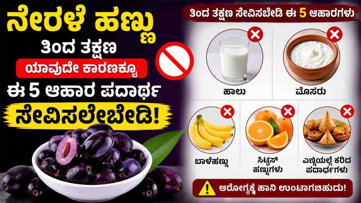 ನೇರಳೆ ಹಣ್ಣು ತಿಂದ ತಕ್ಷಣ ಯಾವುದೇ ಕಾರಣಕ್ಕೂ ಈ 5 ಆಹಾರ ಪದಾರ್ಥ ಸೇವಿಸಲೇಬೇಡಿ.