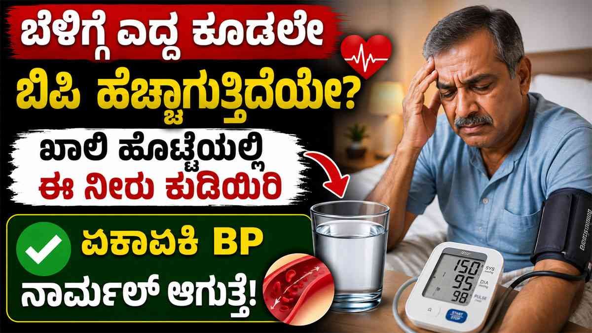ಹೈ ಬಿಪಿ ನಿಯಂತ್ರಣಕ್ಕೆ ಸಹಕಾರಿ ಈ ನೆಲ್ಲಿಕಾಯಿ–ಅಜ್ವೈನ್ ಪಾನೀಯ