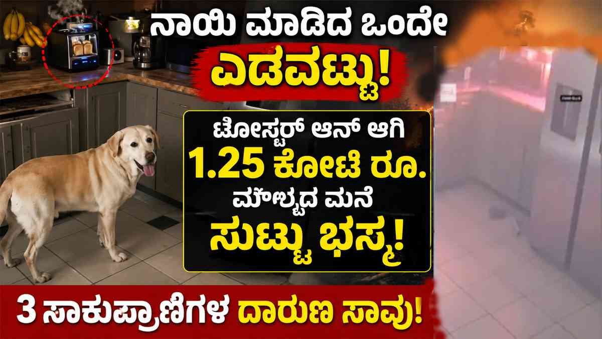 ನಾಯಿ ಮಾಡಿದ ಸಣ್ಣ ಎಡವಟ್ಟು