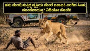 ಹಸು ಮೇಯಿಸುತ್ತಿದ್ದ ವ್ಯಕ್ತಿಯ ಮೇಲೆ ಏಕಾಏಕಿ ಎರಗಿದ ಸಿಂಹ
