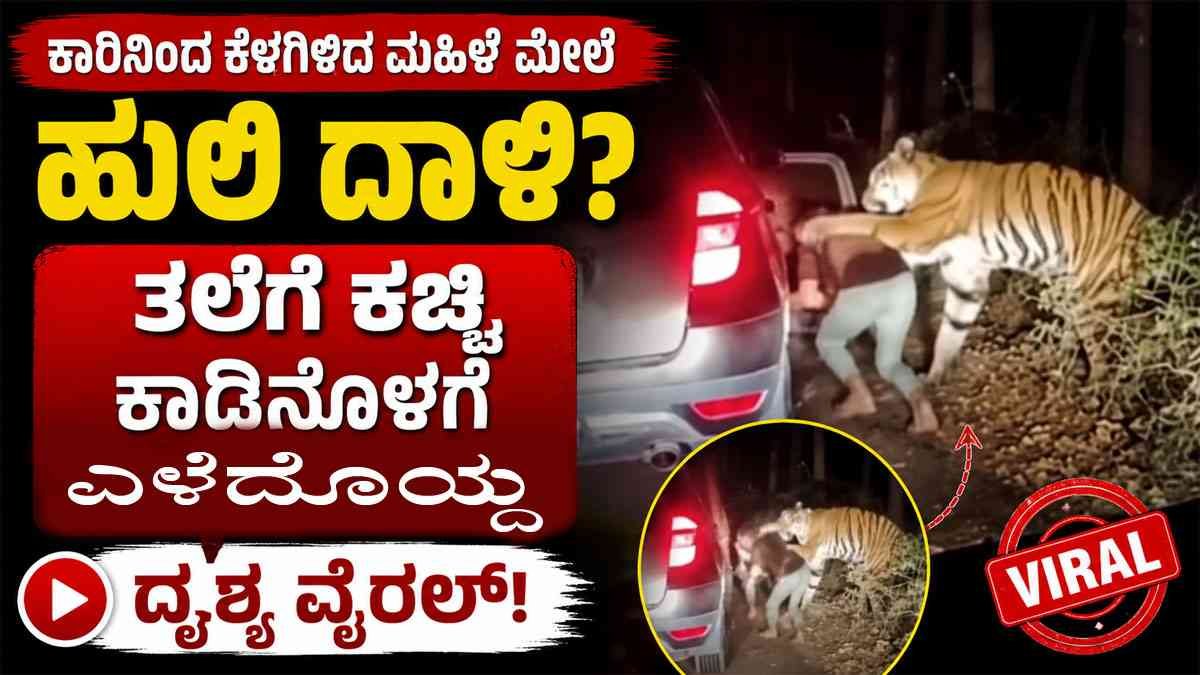 ಕಾಡಿನ ಮಧ್ಯೆ ಕಾರಿನಿಂದ ಕೆಳಗಿಳಿದ ಮಹಿಳೆ ಮೇಲೆ ಹುಲಿ ದಾಳಿ?