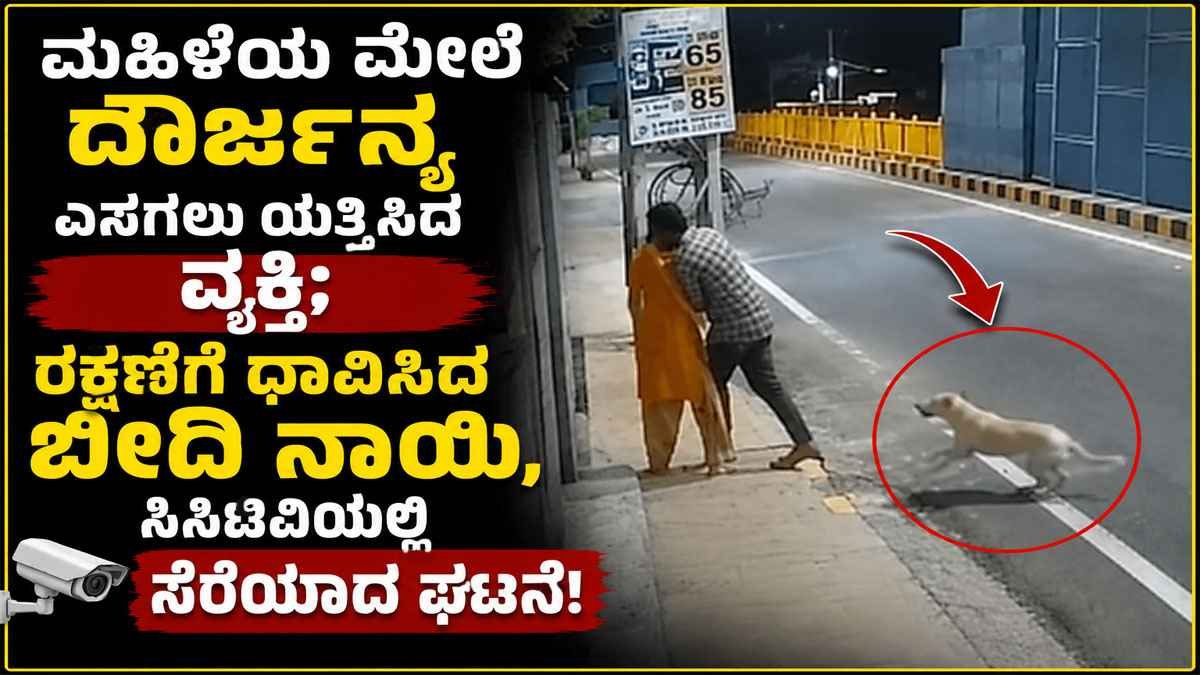 ಮಹಿಳೆಯ ಮೇಲೆ ದೌರ್ಜನ್ಯ ಎಸಗಲು ಯತ್ನಿಸಿದ ವ್ಯಕ್ತಿ